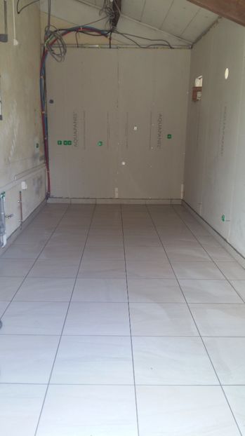  - O casa in renovare langa Lyon