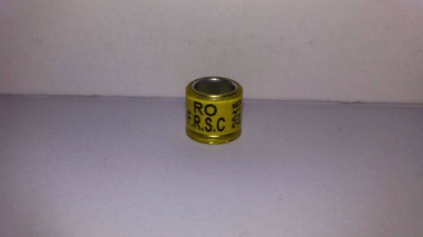  - Inele Romania - 140 piese