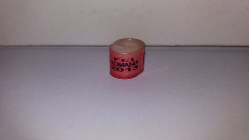  - Inele Romania - 140 piese