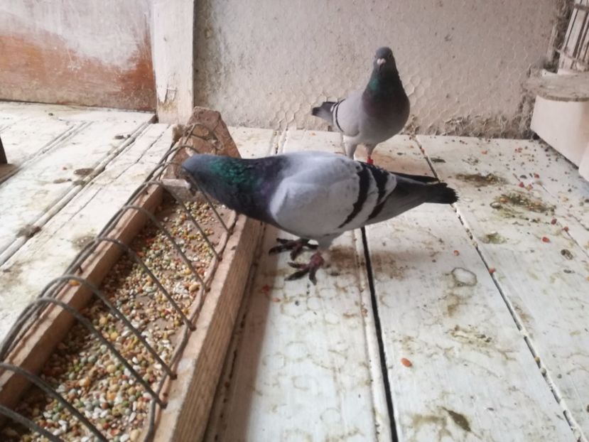  - 02-07-2017 Terespol-Maraton