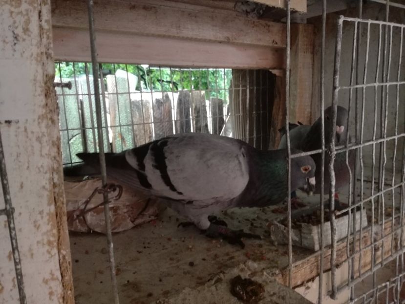  - 02-07-2017 Terespol-Maraton