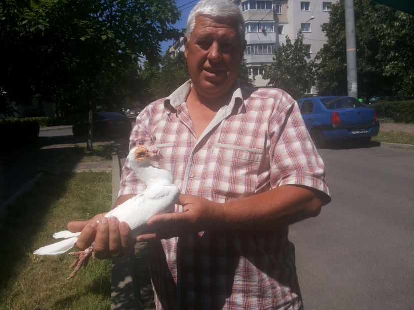 IMG-20170708-WA0000 - Carieri tineri o parte 2016