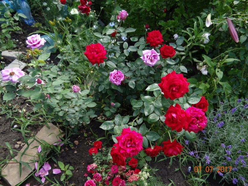 Erica Pluhar si Eminence - Iulie