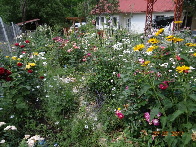 Aleea fara nume....deocamdata - Iulie