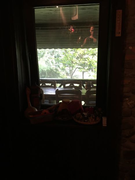 Gradina vazuta din bucatarie - Casuta in 2016 si 2017