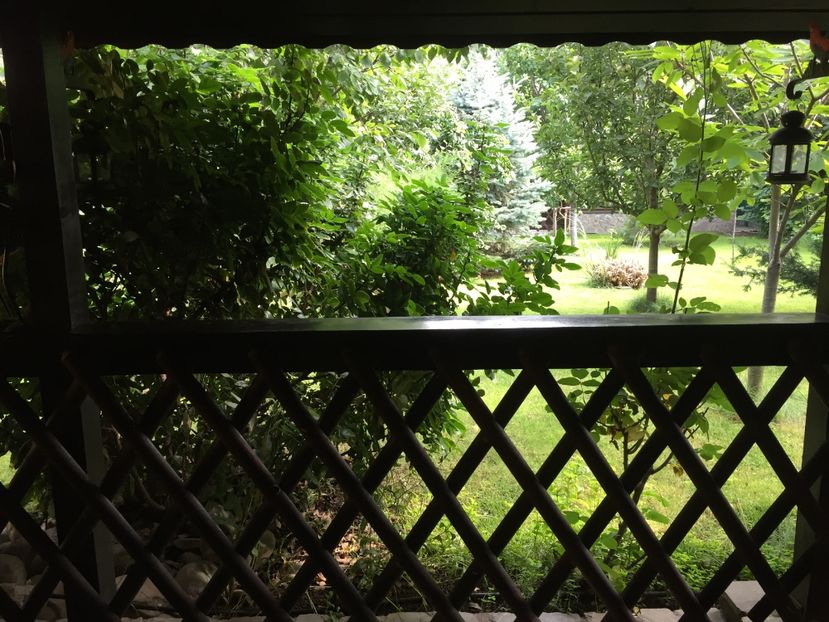 Gradina vazuta de pe prispa - Casuta in 2016 si 2017