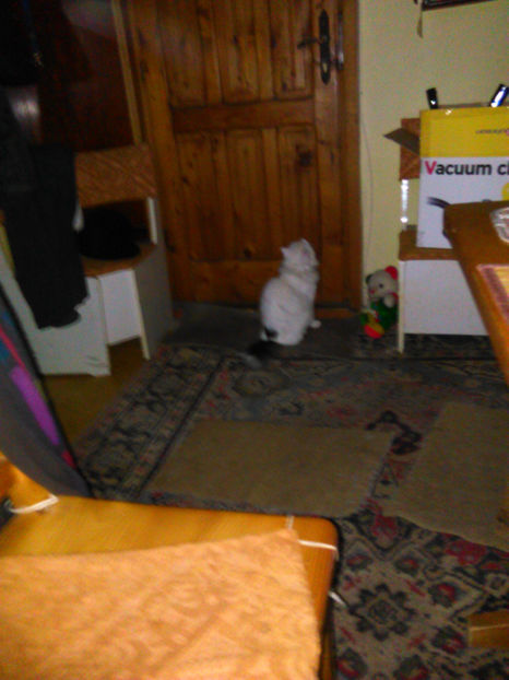 Pisu - Aniversarea lui tanti Paulina