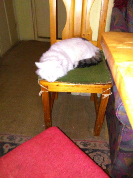  - Aniversarea lui tanti Paulina