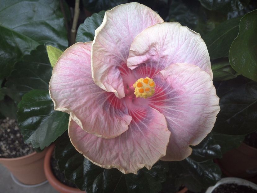 WIN_20170709_100039 - Barry Schlueter