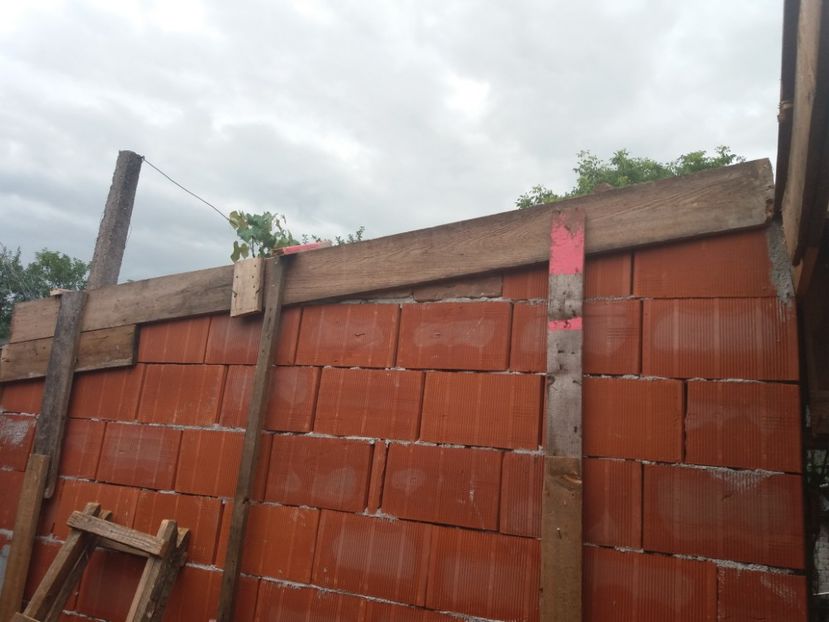  - VOLIERA MEA MODESTA