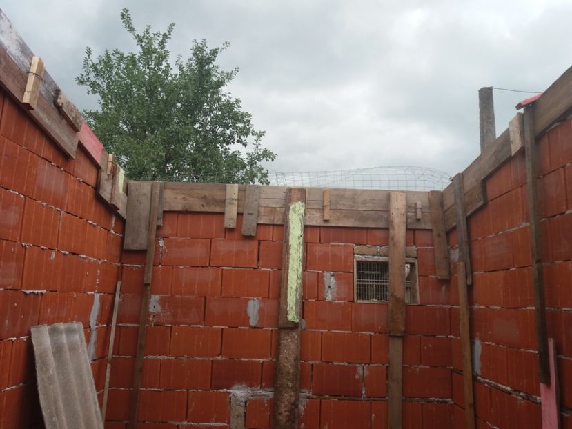  - VOLIERA MEA MODESTA