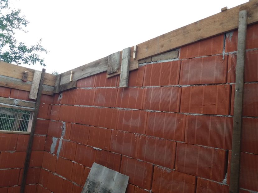  - VOLIERA MEA MODESTA