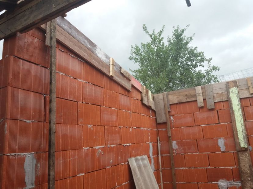 Pregatire si turnarea centurilor - VOLIERA MEA MODESTA