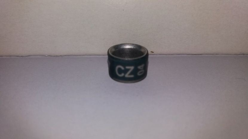 CZ 04 - Inele Cehia - 12 piese