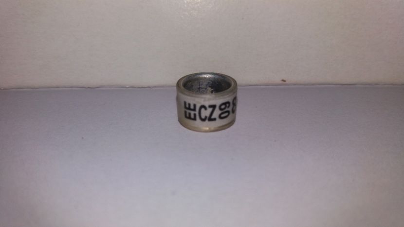  - Inele Cehia - 12 piese