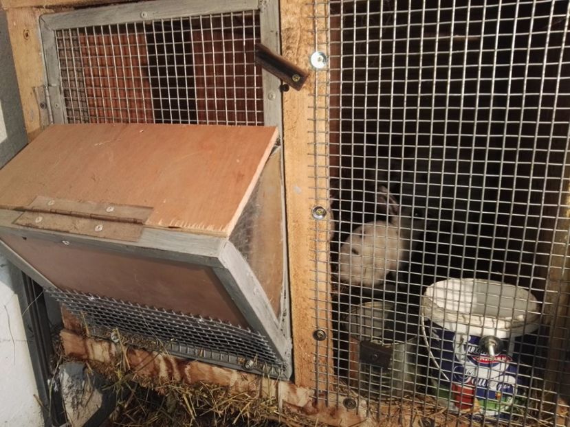  - Cuib 16_05_2017_dal