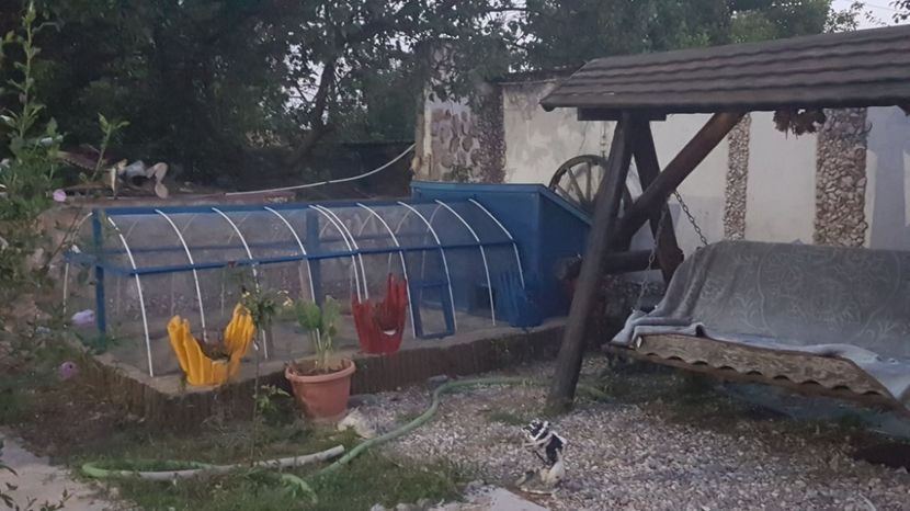 VOLIERA PTR. PUII DE PAUN - VOLIERE