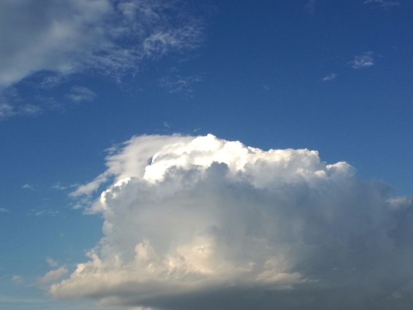  - 2017-Antrenament fond 4