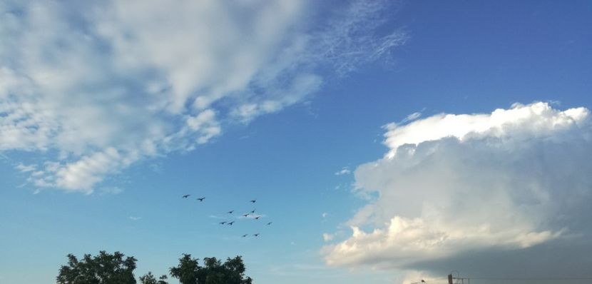  - 2017-Antrenament fond 4