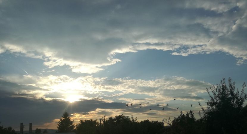  - 2017-Antrenament fond 4