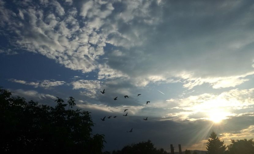  - 2017-Antrenament fond 4