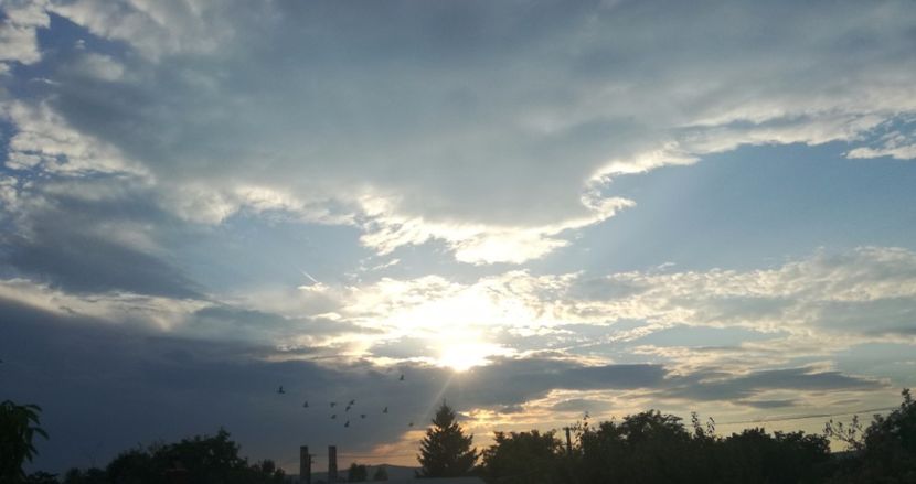  - 2017-Antrenament fond 4