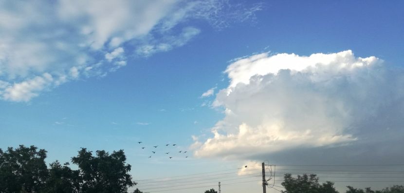  - 2017-Antrenament fond 4