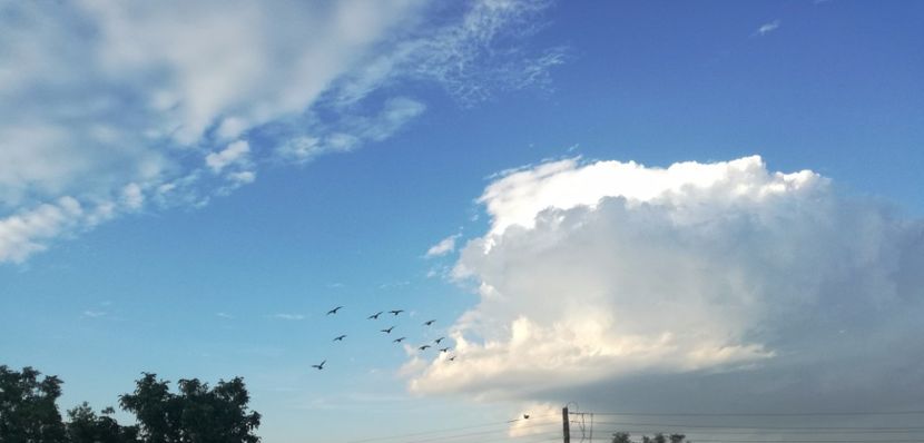  - 2017-Antrenament fond 4