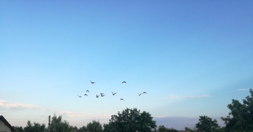  - 2017-Antrenament fond 4