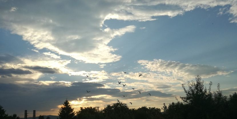  - 2017-Antrenament fond 4