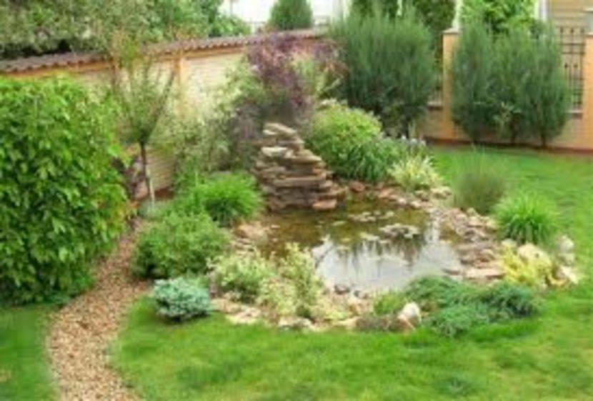 images (8) - Pfoto net id