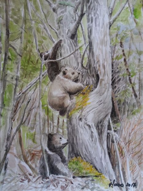  - Picturi in acuarela