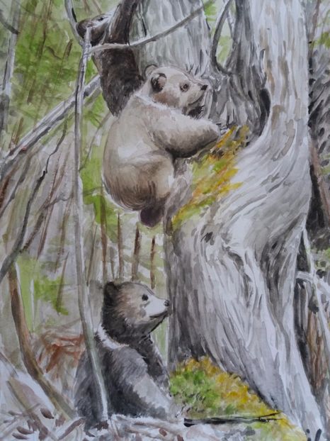  - Picturi in acuarela