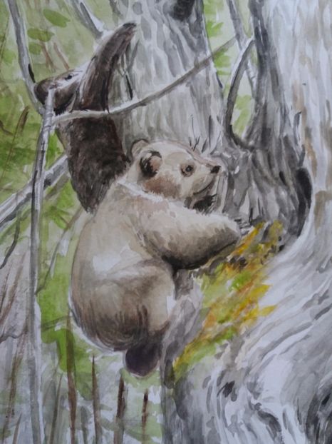  - Picturi in acuarela