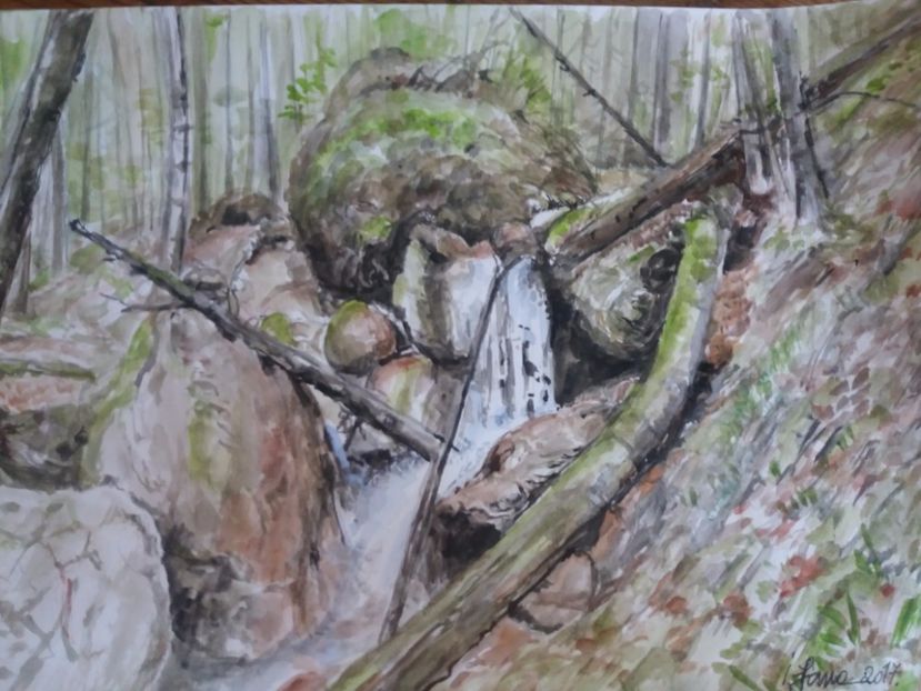  - Picturi in acuarela