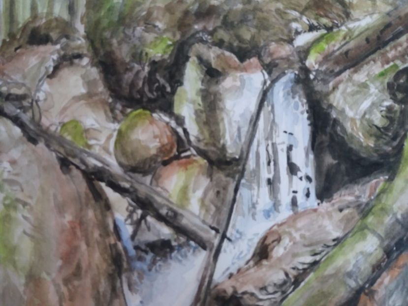  - Picturi in acuarela