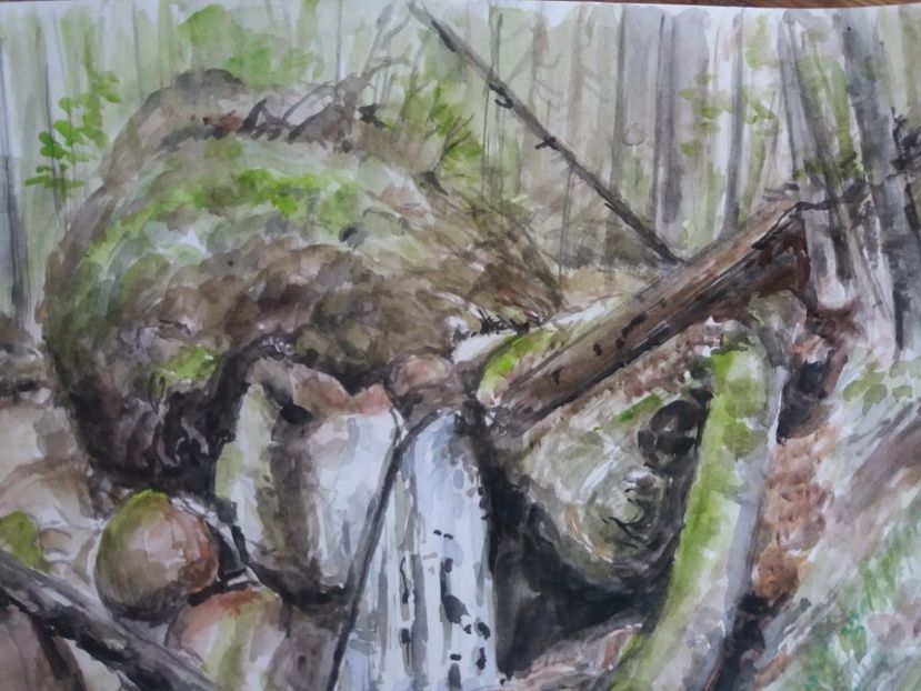  - Picturi in acuarela