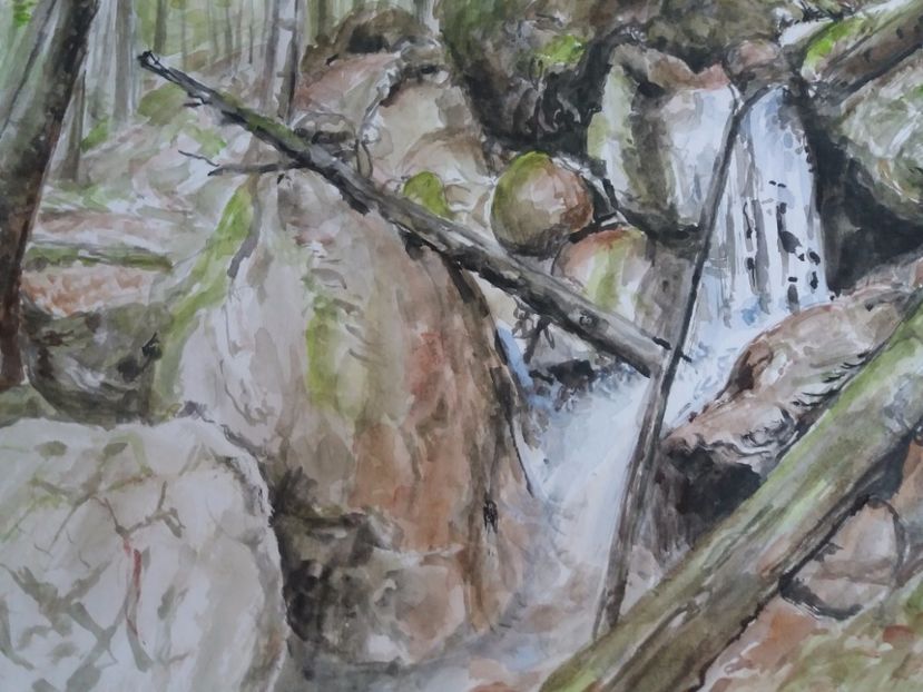  - Picturi in acuarela