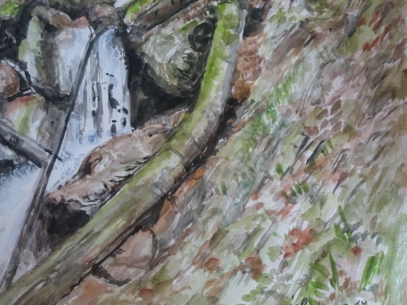  - Picturi in acuarela