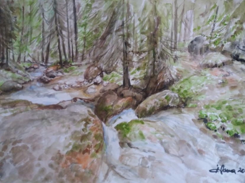  - Picturi in acuarela