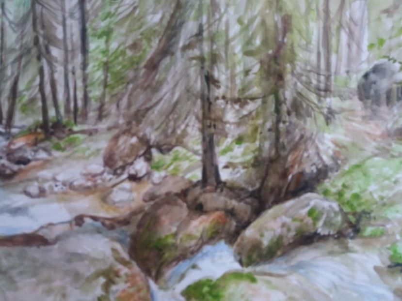  - Picturi in acuarela