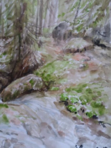  - Picturi in acuarela