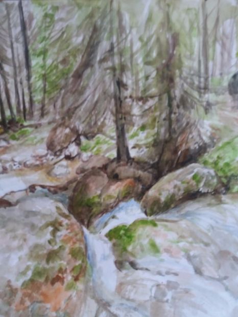  - Picturi in acuarela