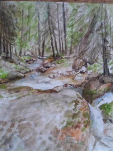  - Picturi in acuarela