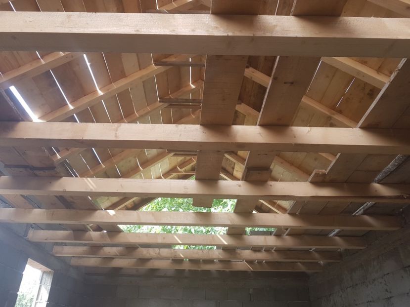  - 0----------------HALA IEPURI