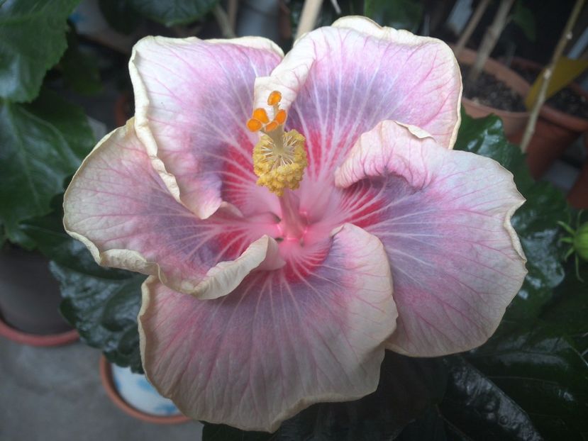 WIN_20170711_103348 - Barry Schlueter