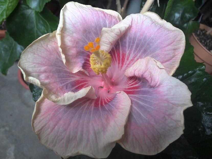 WIN_20170711_103359 - Barry Schlueter