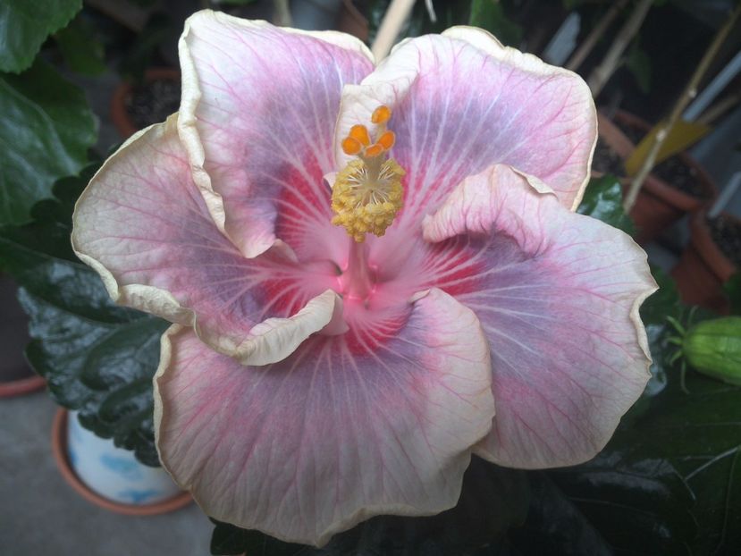 WIN_20170711_103412 - Barry Schlueter