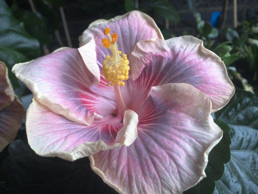 WIN_20170711_103620 - Barry Schlueter