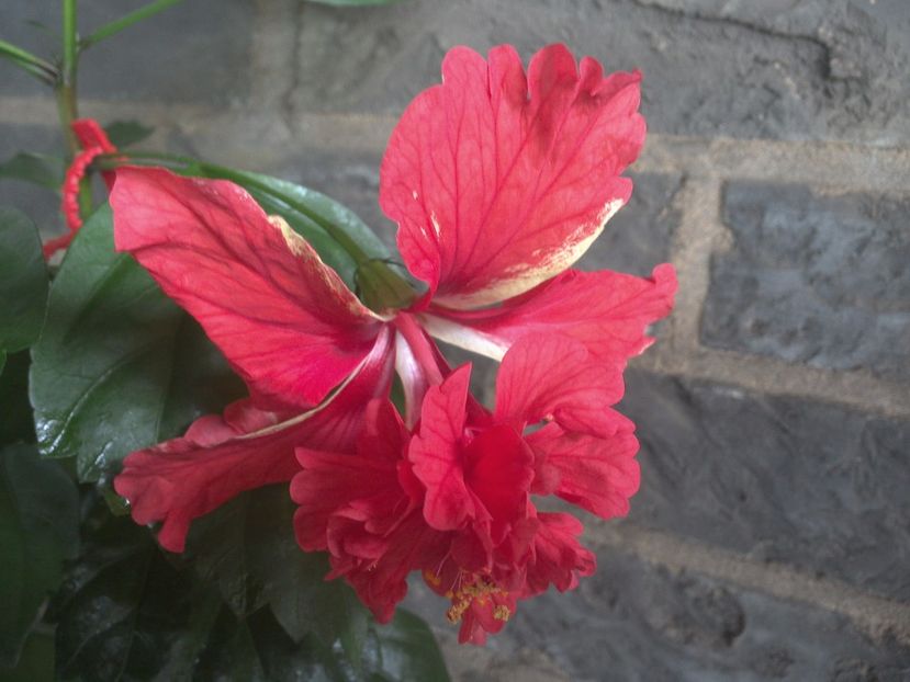 WIN_20170711_103313 - El Capitolio